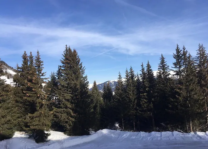 3 Pieces Pres Des Pistes - 1850 - Fr-1-514-27 شقة كورشوفيل