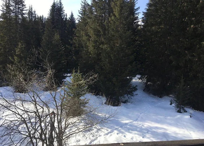 3 Pieces Pres Des Pistes - 1850 - Fr-1-514-27 كورشوفيل