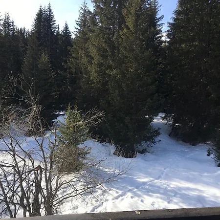 3 Pieces Pres Des Pistes - 1850 - Fr-1-514-27 Courchevel